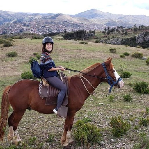 caballo cusco