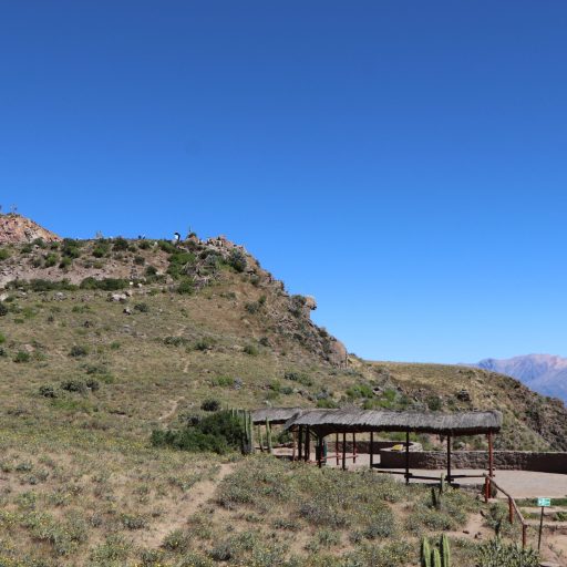 la cruz del condor