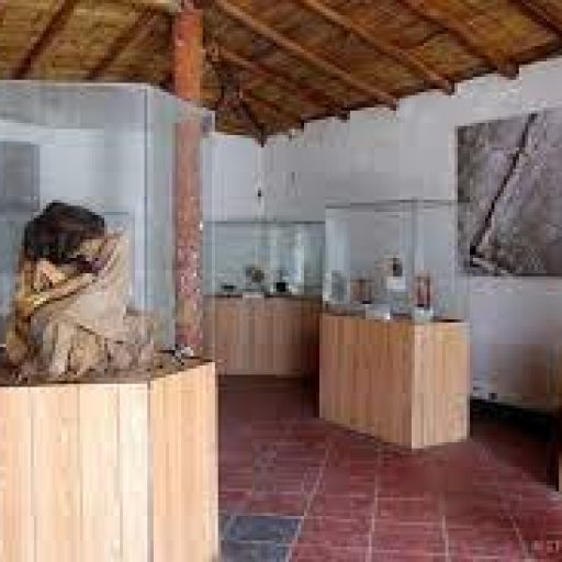 museo reiche1