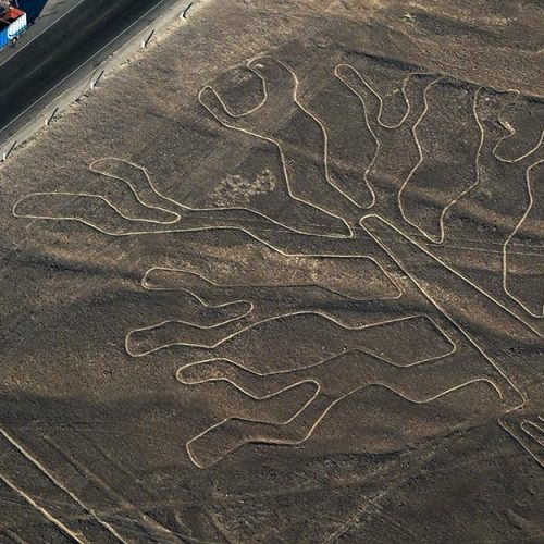 nazca1