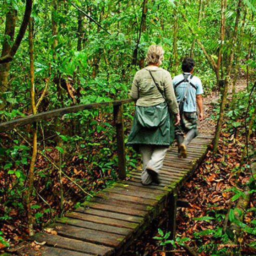 tambopata-cologico-madre-de-dios-peru-792x465