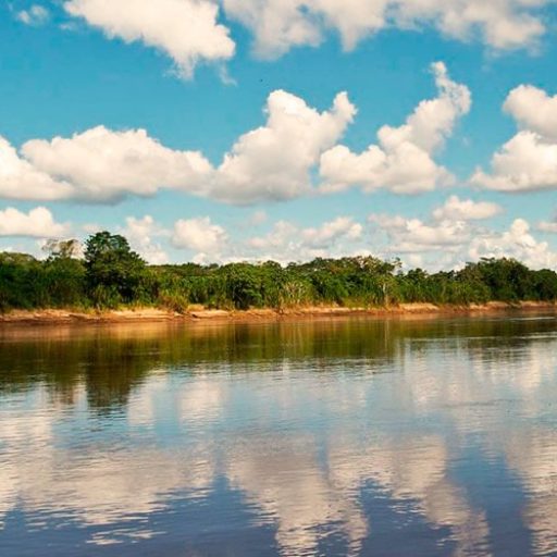 tambopata-tours